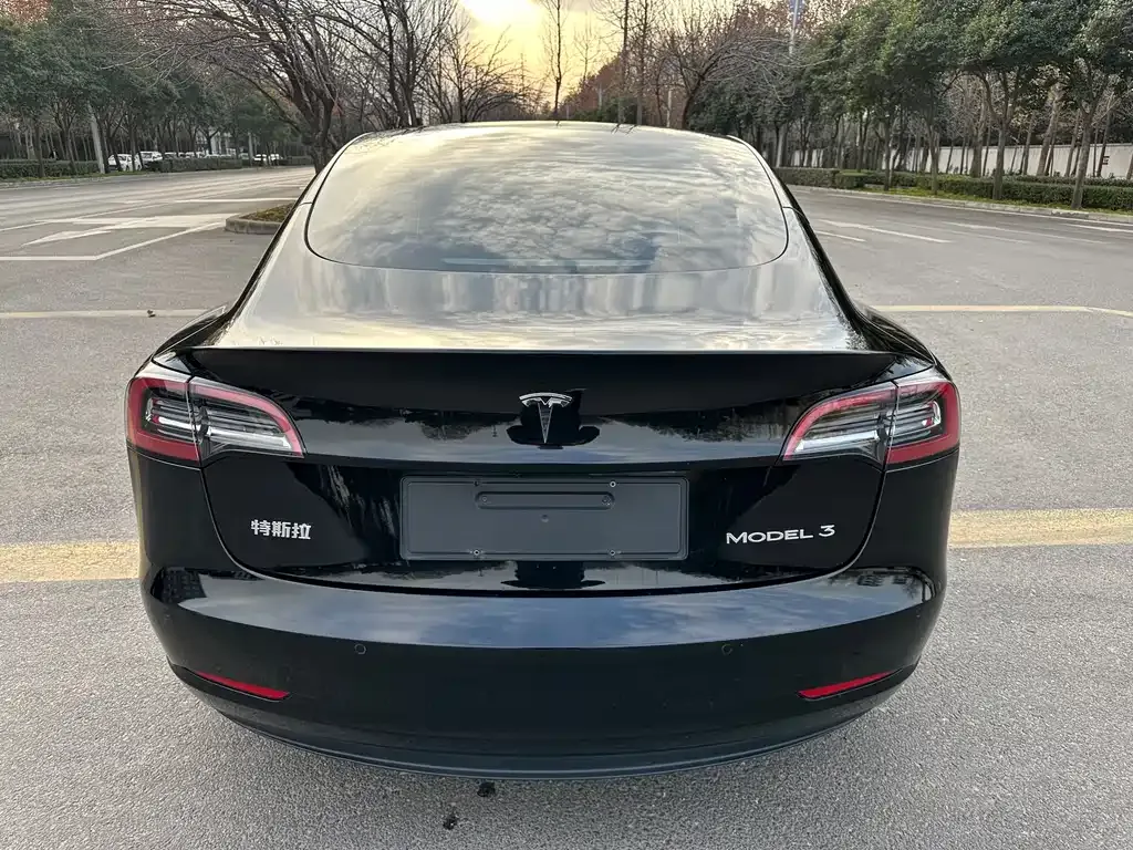 Tesla Model 3 — фото 4