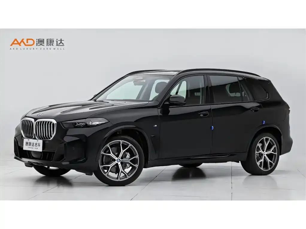 BMW X5 2025 из CN, фото 1