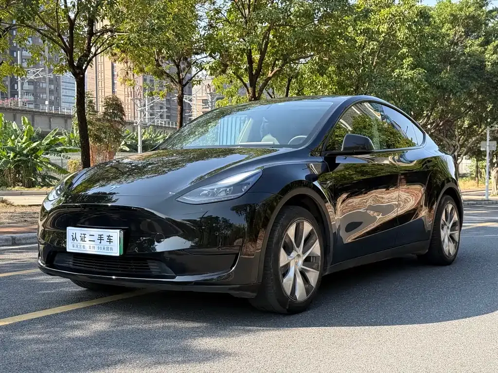 Tesla Model Y 2023 из CN, фото 1