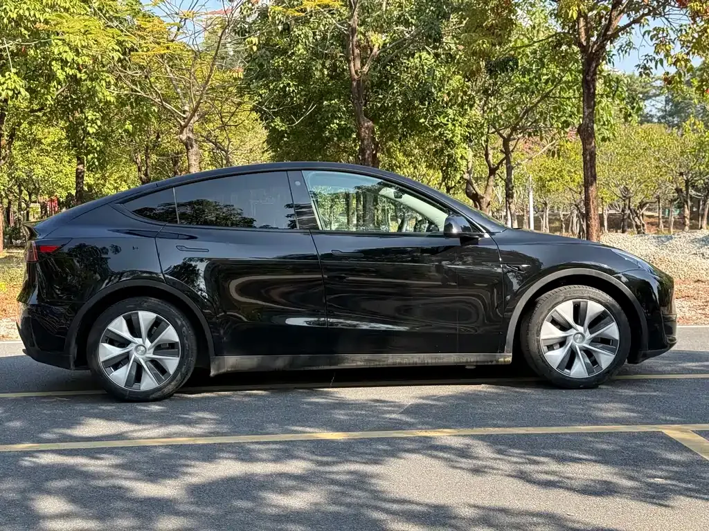 Tesla Model Y 2023 из CN, фото 9
