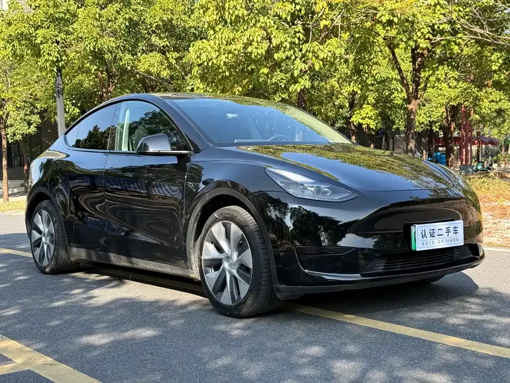 Tesla Model Y 2023 из CN, фото 4