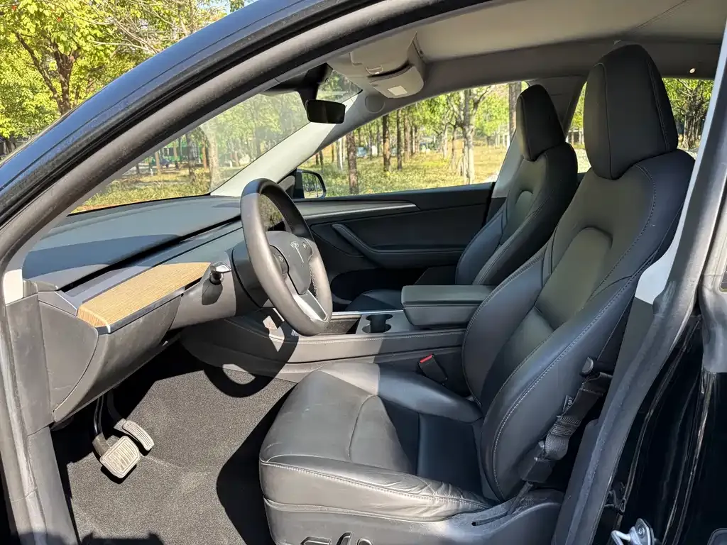 Tesla Model Y 2023 из CN, фото 6