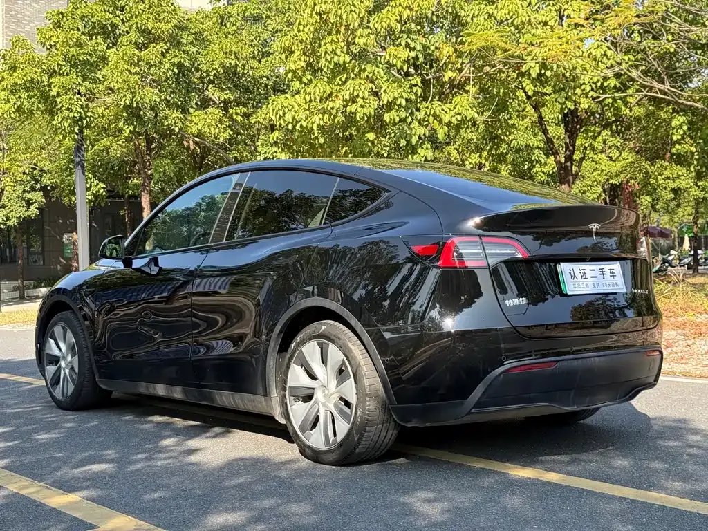 Tesla Model Y 2023 из CN, фото 7