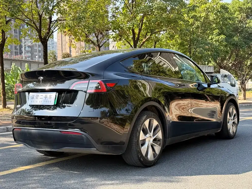 Tesla Model Y 2023 из CN, фото 5