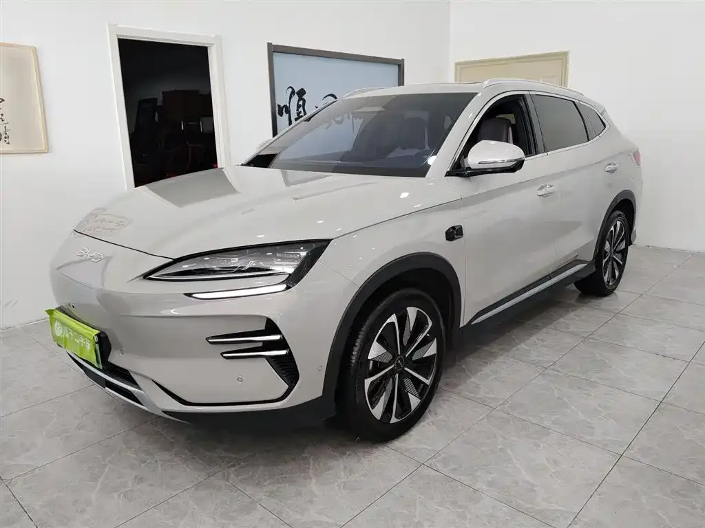 BYD PLUS New Energy 2025 из CN, фото 1