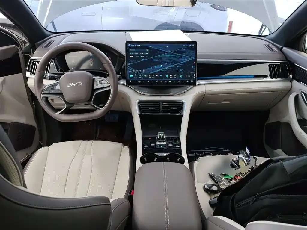 BYD PLUS New Energy 2025 из CN, фото 10