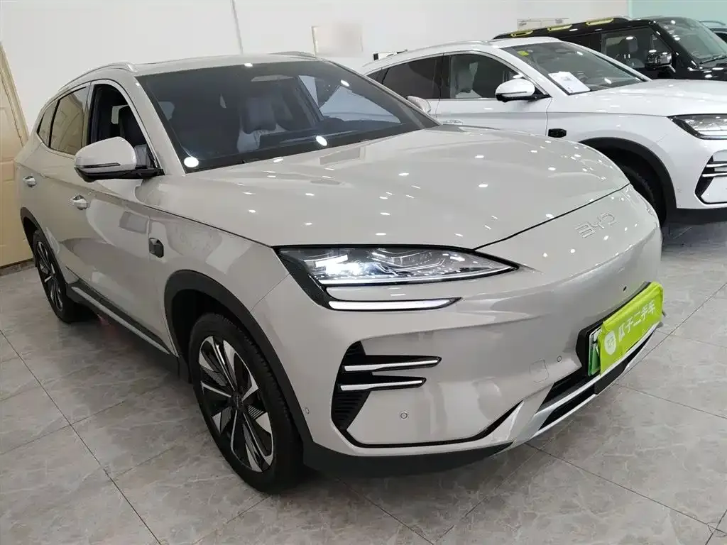 BYD PLUS New Energy 2025 из CN, фото 3