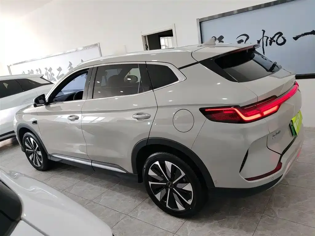 BYD PLUS New Energy 2025 из CN, фото 4