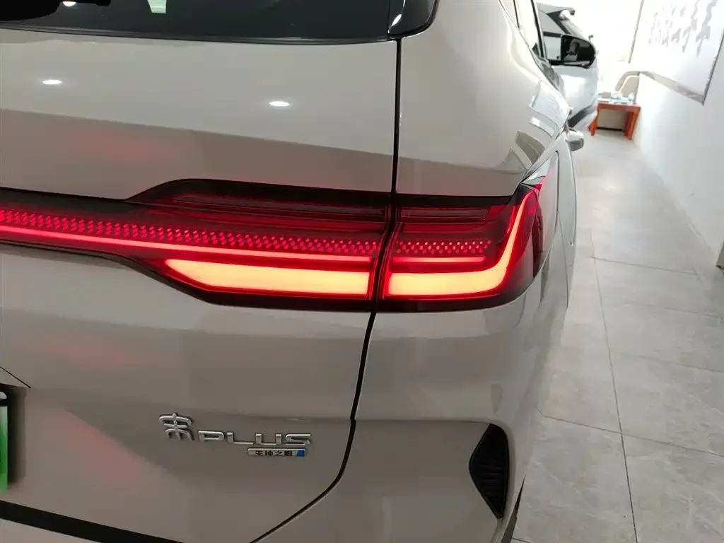 BYD PLUS New Energy 2025 из CN, фото 2