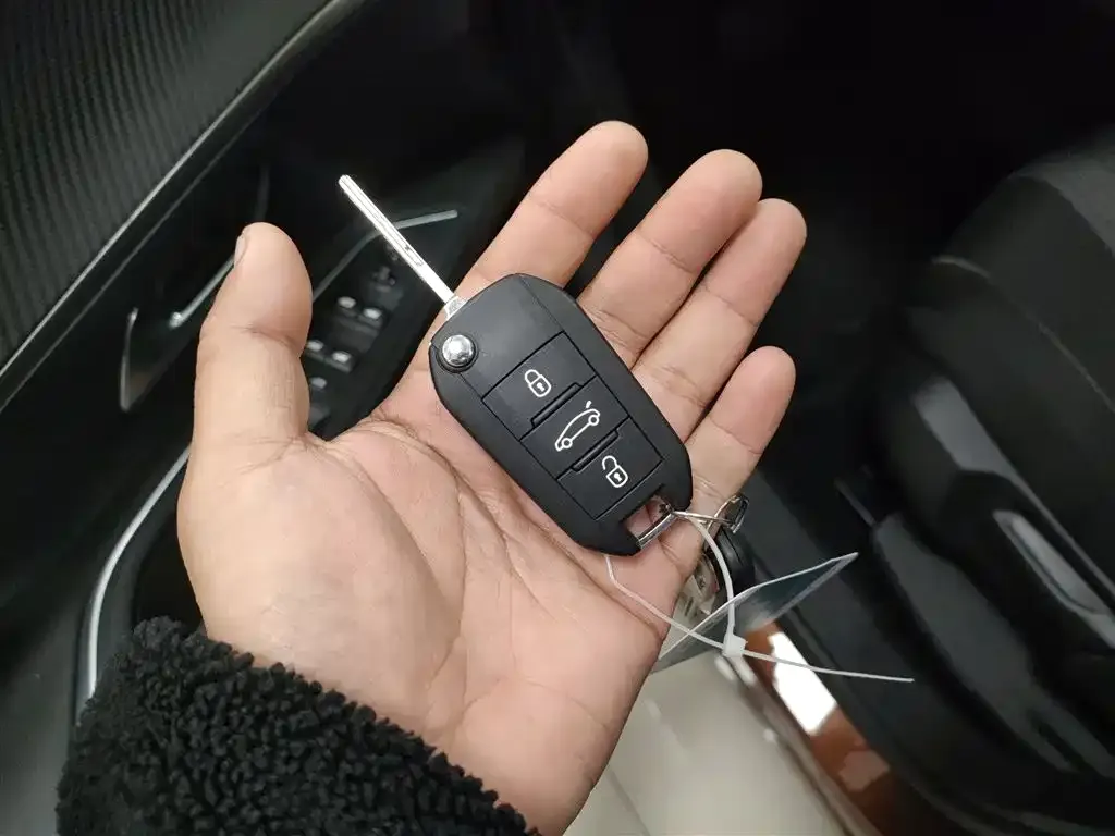 Peugeot 4008 2024 из CN, фото 9