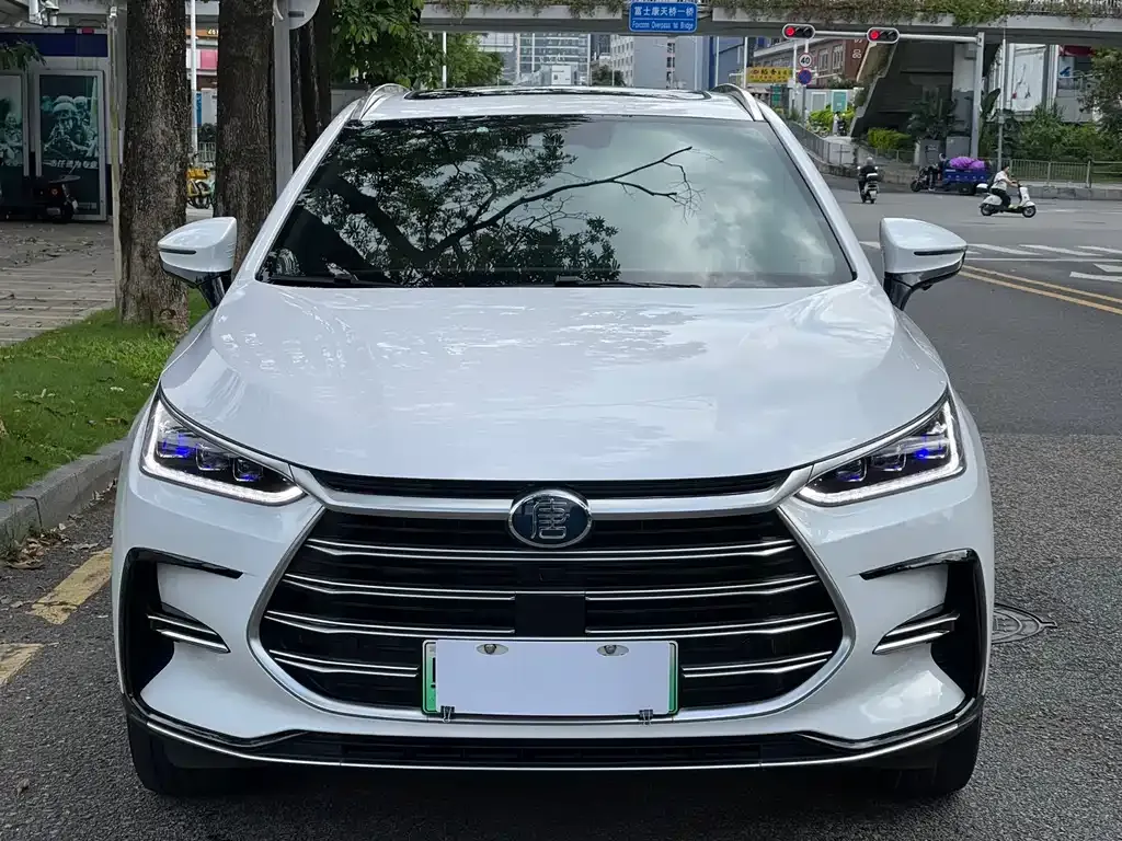 BYD Tang New Energy 2022 из CN, фото 5