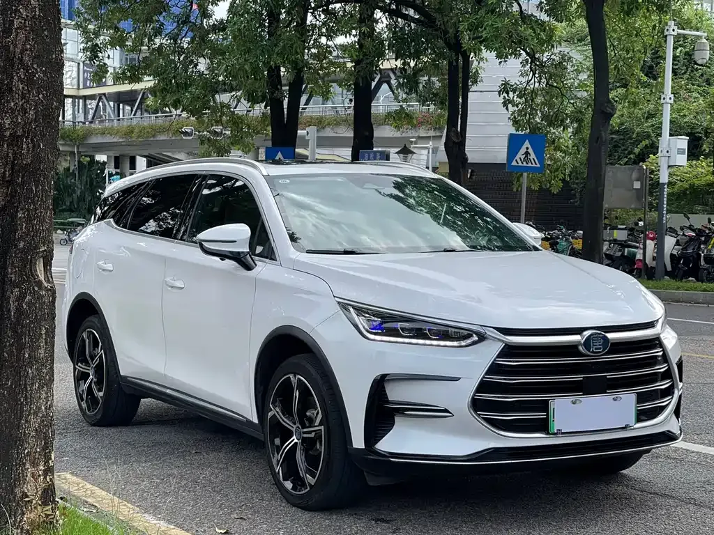 BYD Tang New Energy 2022 из CN, фото 10