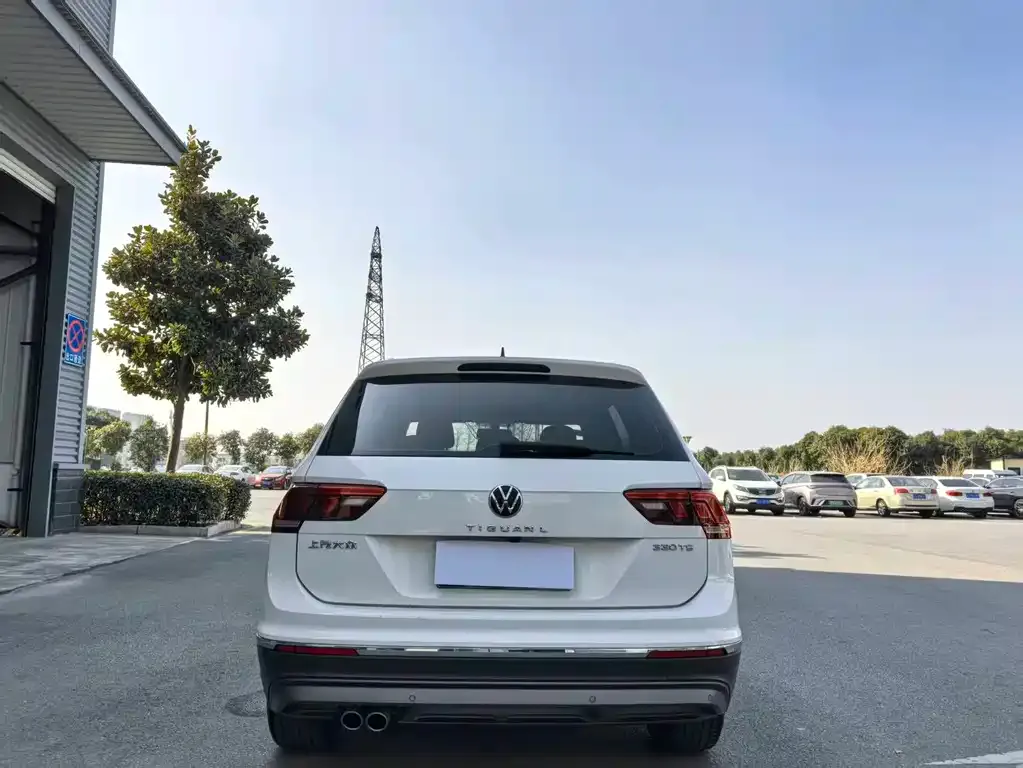 Volkswagen Tiguan L 2021 из CN, фото 4