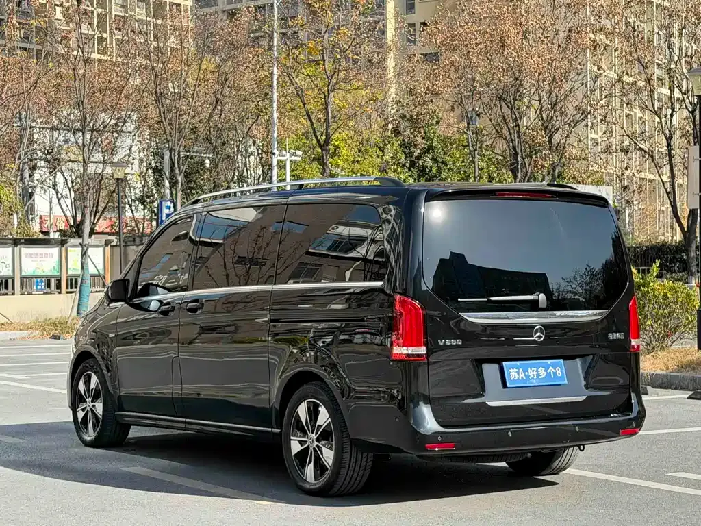 Mercedes-Benz V-Class 2024 из CN, фото 10