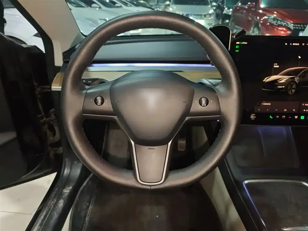 Tesla Model 3 2023 из CN, фото 7