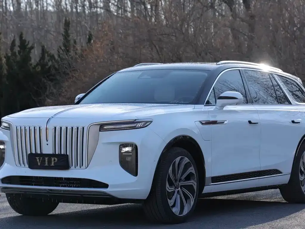 Hongqi E-HS9 2021 из CN, фото 1