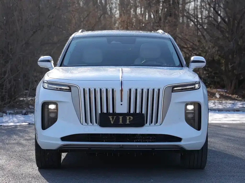 Hongqi E-HS9 2021 из CN, фото 8