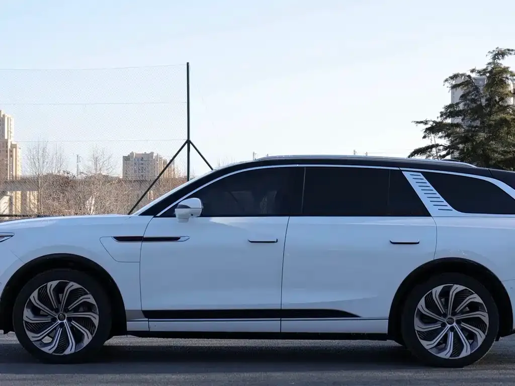 Hongqi E-HS9 2021 из CN, фото 5