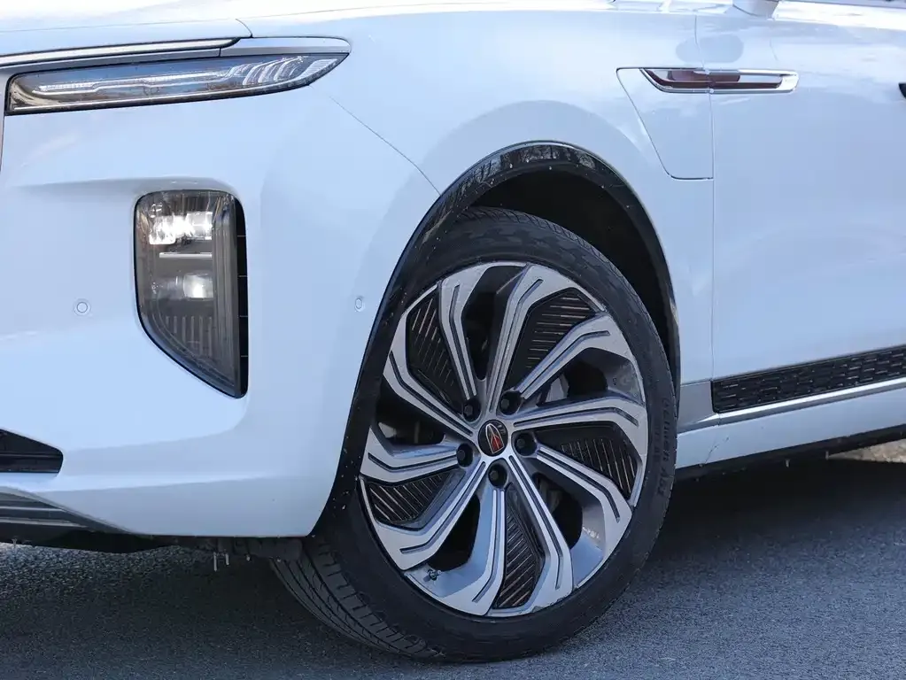 Hongqi E-HS9 2021 из CN, фото 7