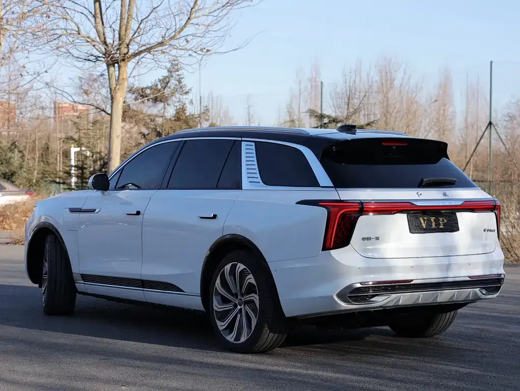 Hongqi E-HS9 2021 из CN, фото 9