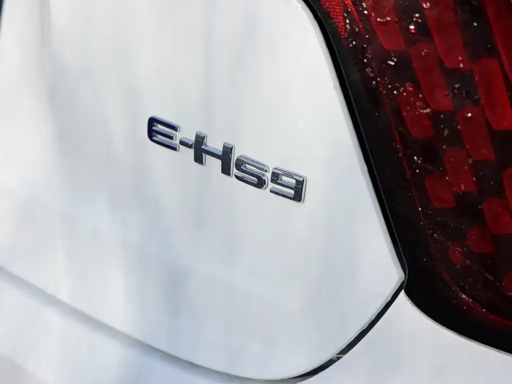 Hongqi E-HS9 2021 из CN, фото 3