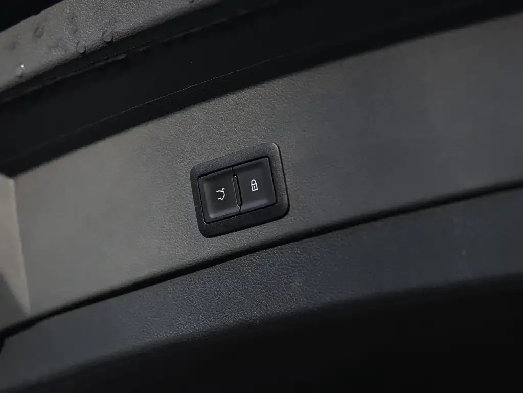 Hongqi E-HS9 2021 из CN, фото 4