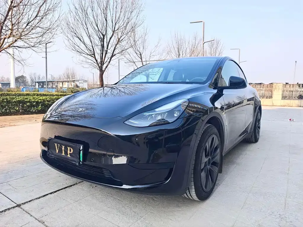 Tesla Model Y 2024 из CN, фото 1