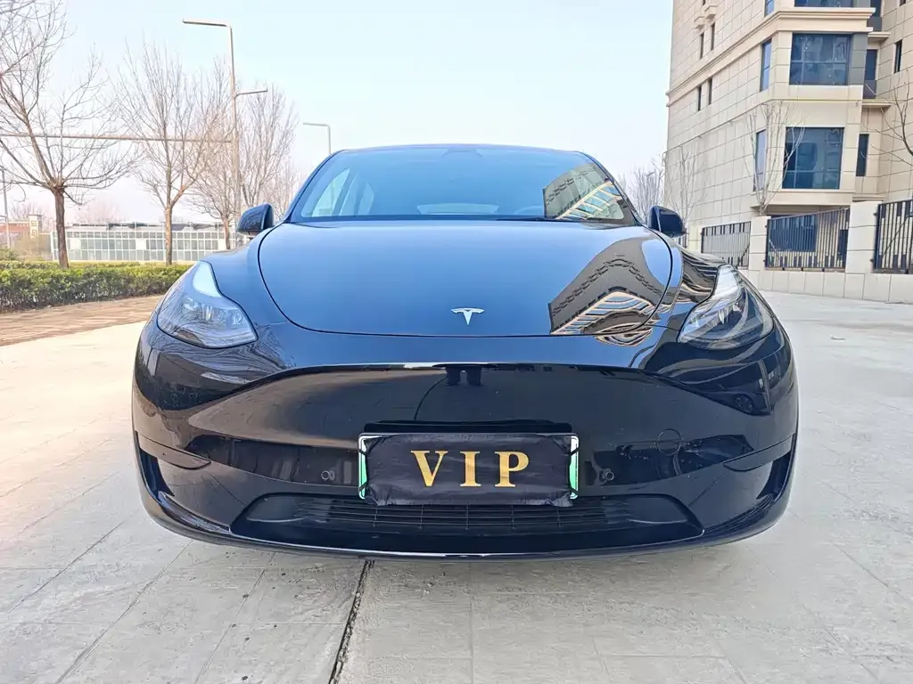 Tesla Model Y 2024 из CN, фото 8