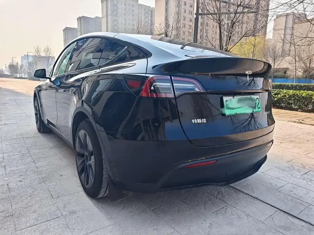 Tesla Model Y 2024 из CN, фото 7