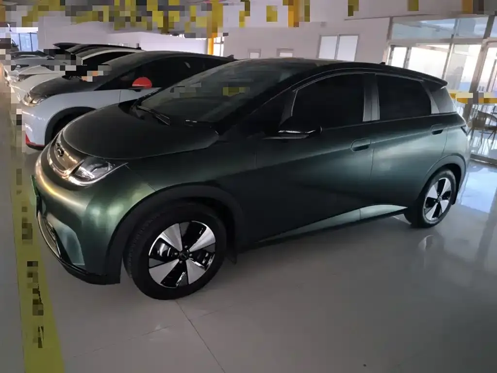 BYD Dolphin 2024 из CN, фото 5