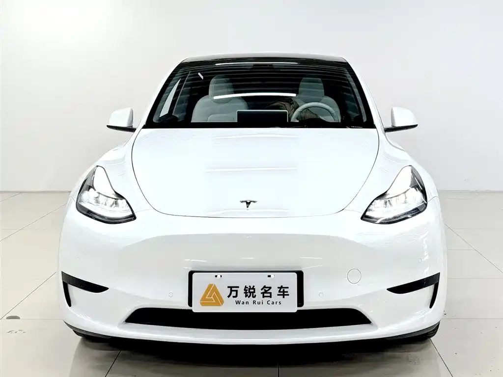 Tesla Model Y 2023 из CN, фото 4