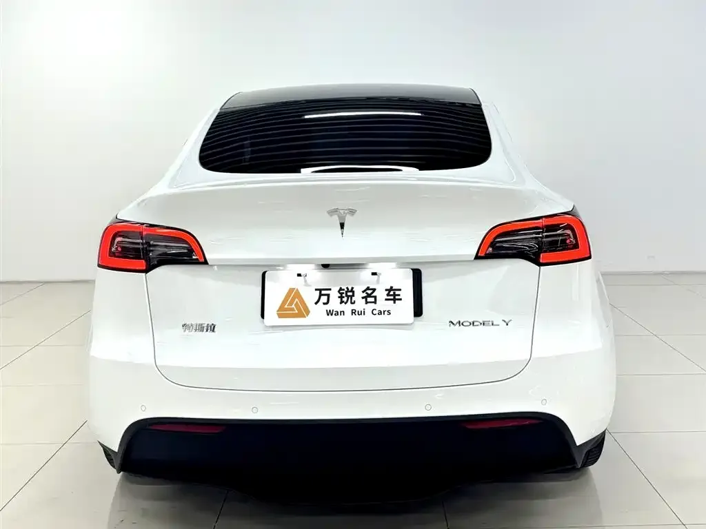 Tesla Model Y 2023 из CN, фото 3