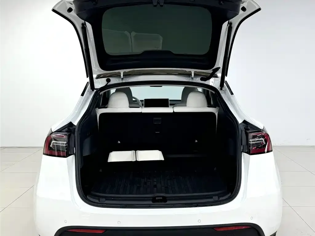 Tesla Model Y 2023 из CN, фото 6