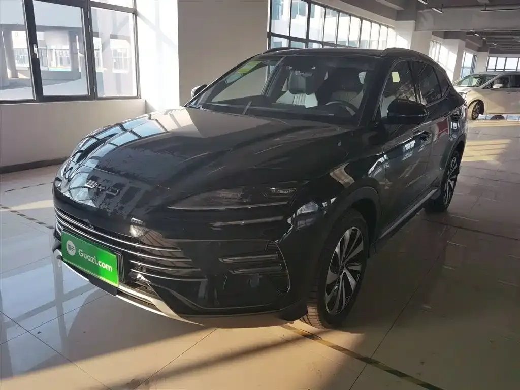 BYD PLUS New Energy 2024 из CN, фото 1