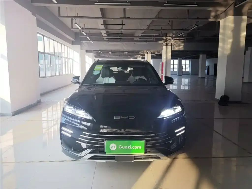 BYD PLUS New Energy 2024 из CN, фото 5
