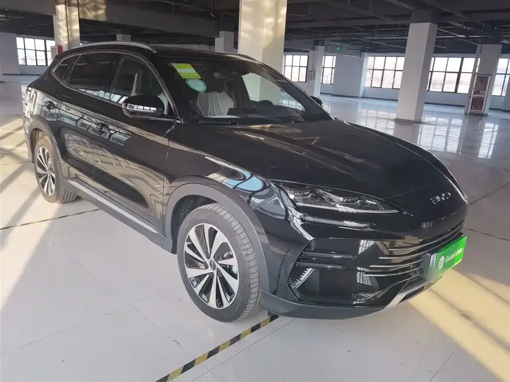 BYD PLUS New Energy 2024 из CN, фото 8