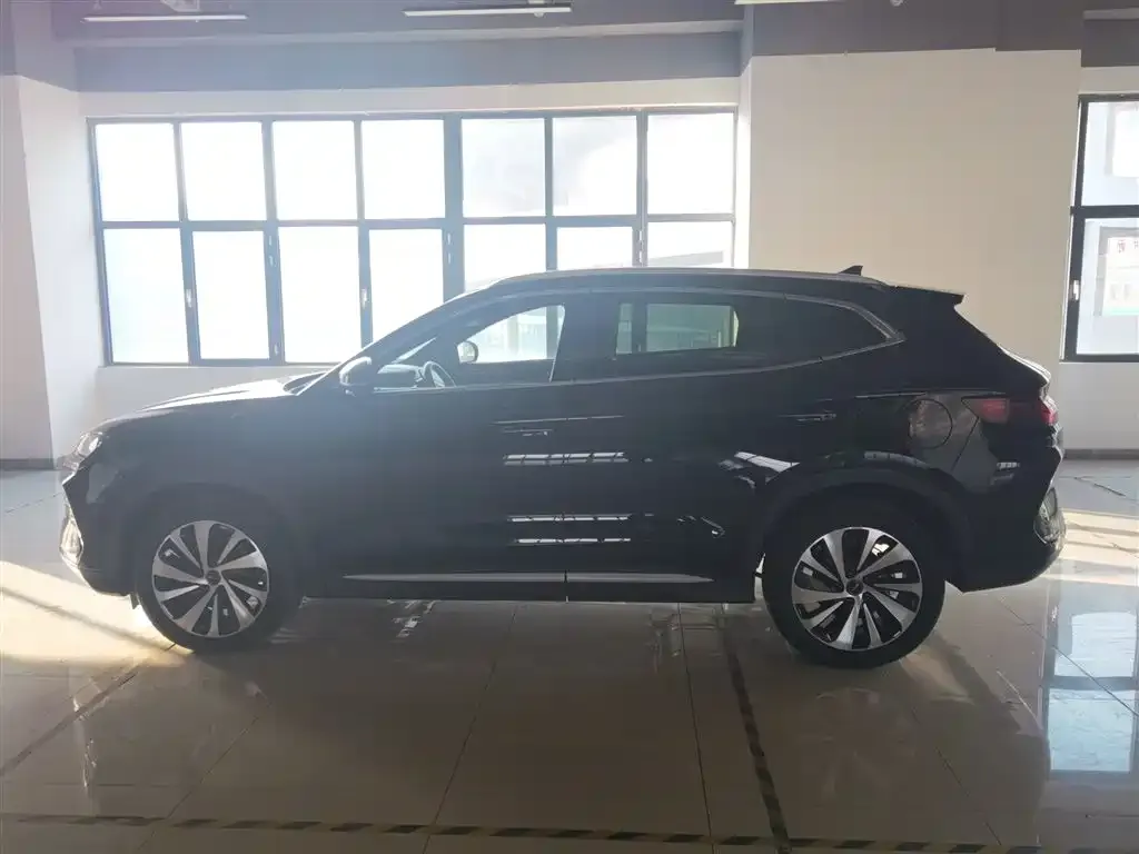 BYD PLUS New Energy 2024 из CN, фото 2