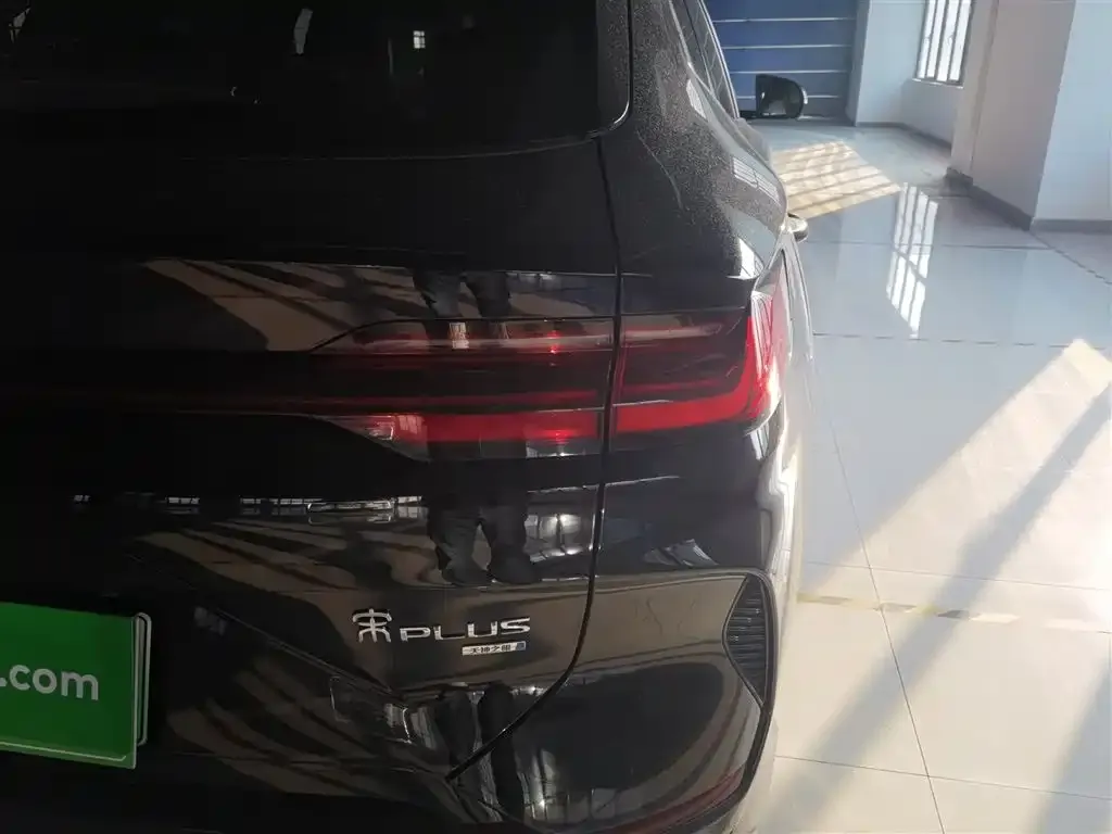 BYD PLUS New Energy 2024 из CN, фото 6