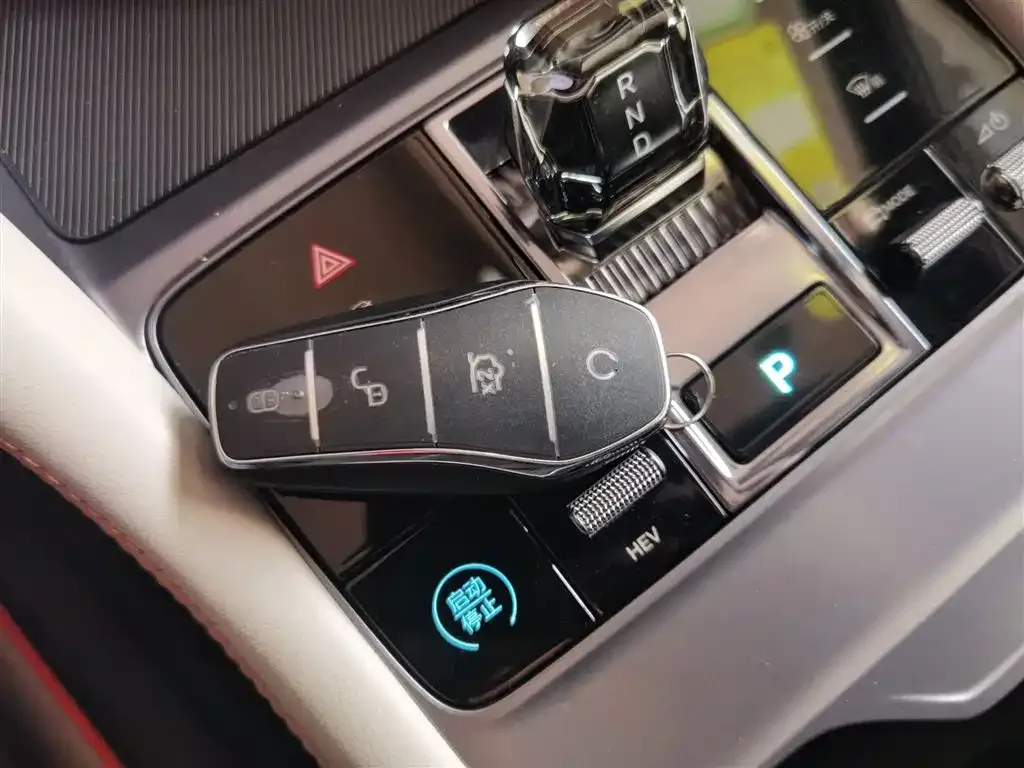 BYD PLUS New Energy 2024 из CN, фото 7