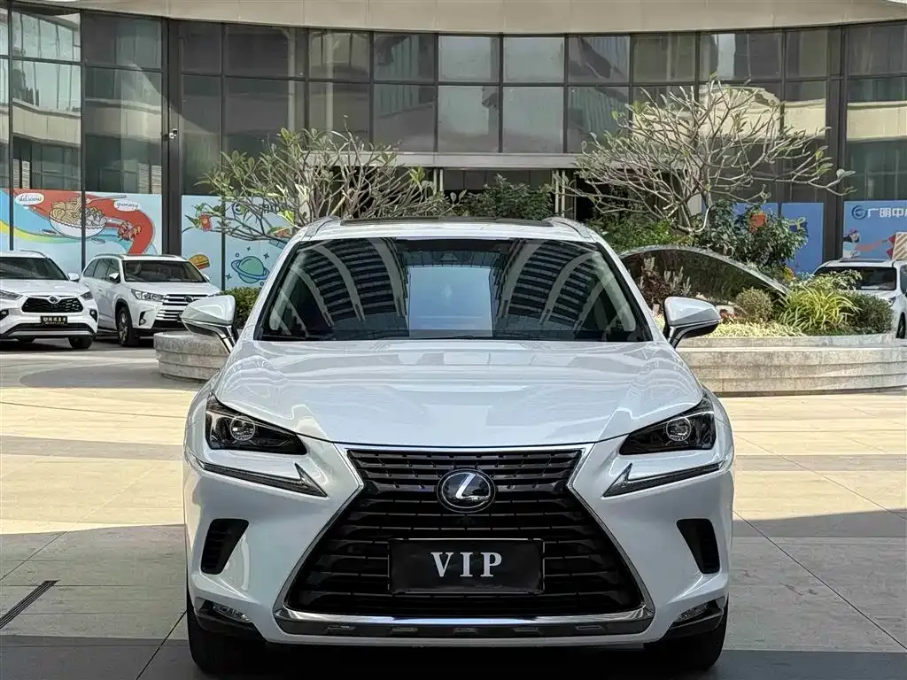 Lexus NX 2021 из CN, фото 7