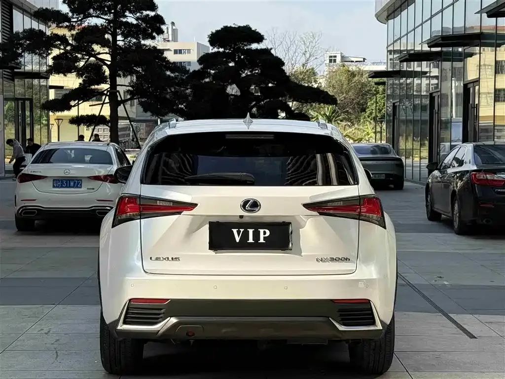 Lexus NX 2021 из CN, фото 9