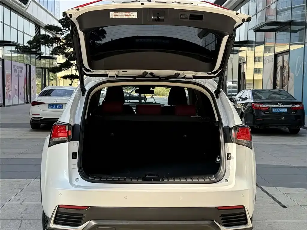 Lexus NX 2021 из CN, фото 6