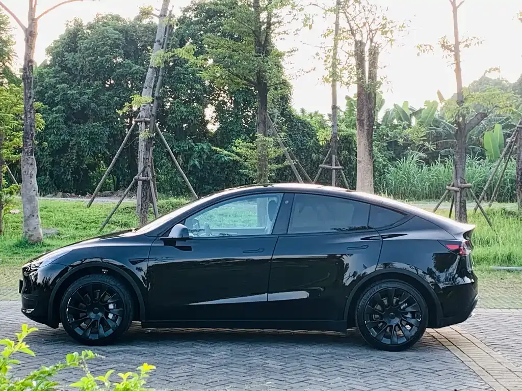 Tesla Model Y 2023 из CN, фото 6