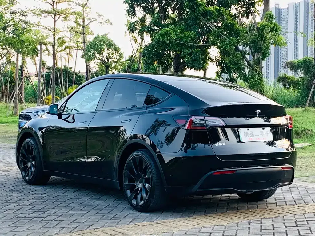 Tesla Model Y 2023 из CN, фото 8