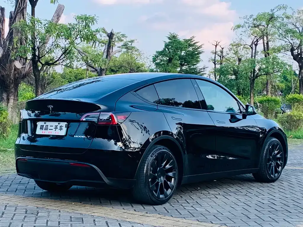 Tesla Model Y 2023 из CN, фото 10