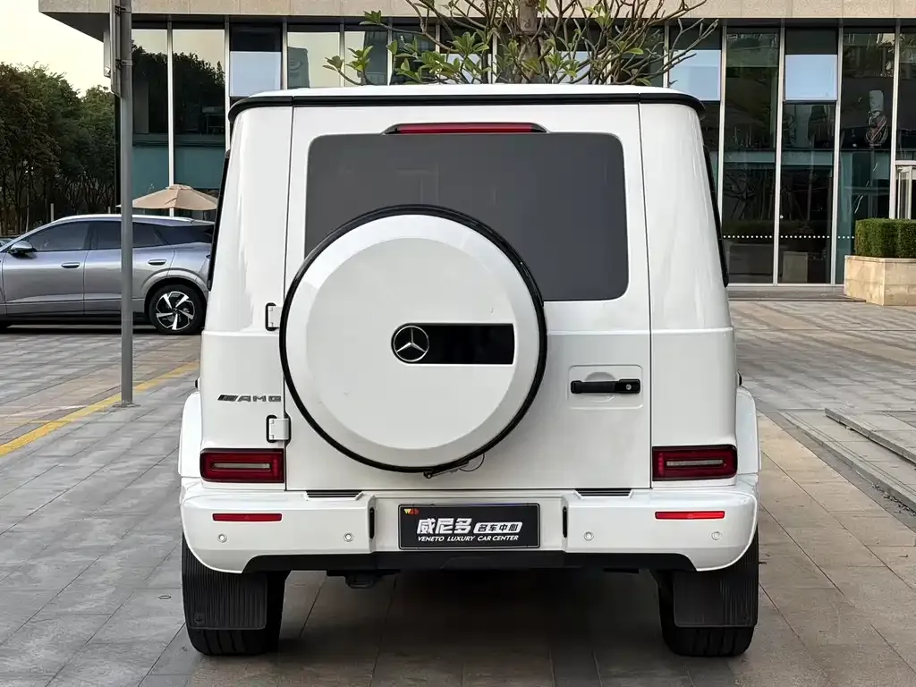 Mercedes-Benz G-Class 2021 из CN, фото 8