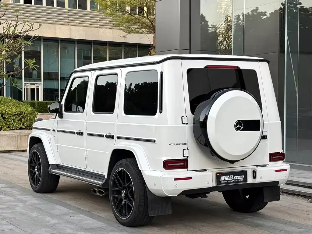 Mercedes-Benz G-Class 2021 из CN, фото 5