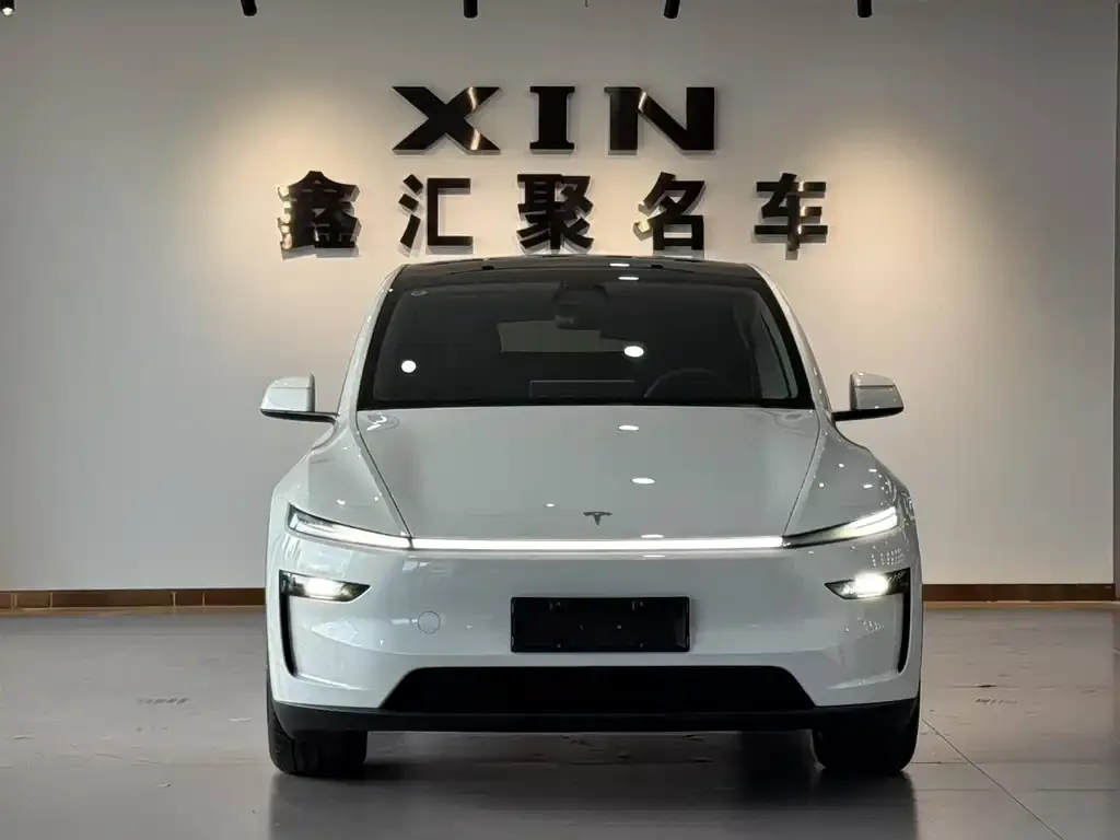 Tesla Model Y 2026 из CN, фото 1