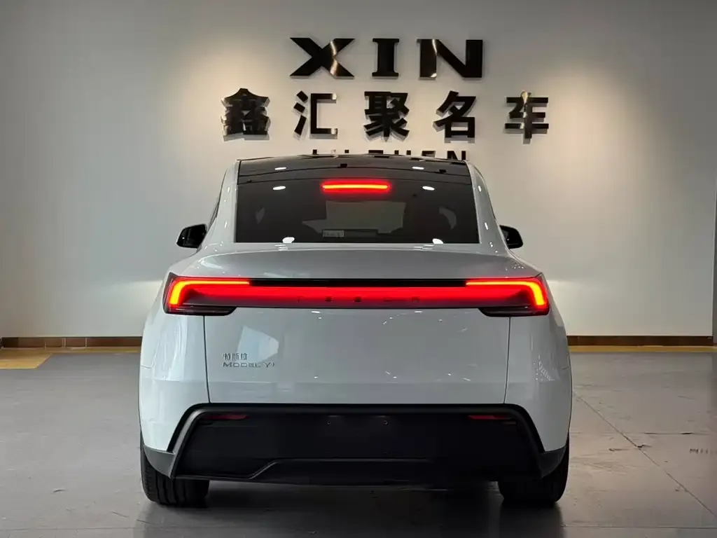 Tesla Model Y 2026 из CN, фото 4