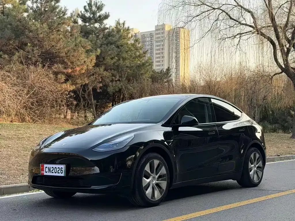 Tesla Model Y 2022 из CN, фото 1